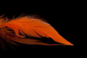 A.Jensen Schlappen Feathers - orange